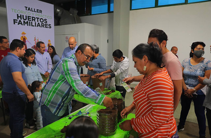 Aprende ciudadanía a cultivar sus alimentos con taller gratuito de ...